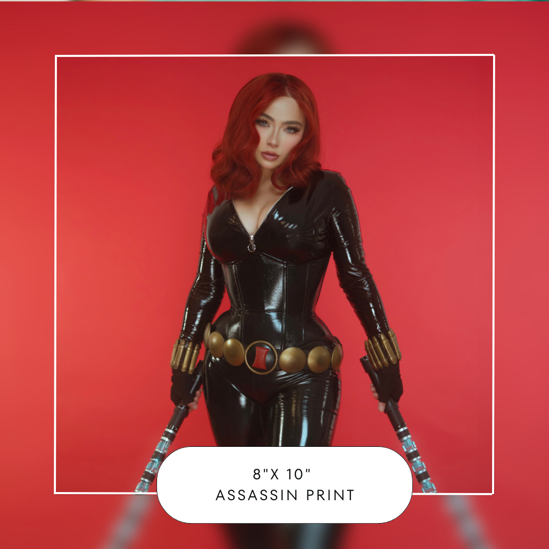 Assassin Print